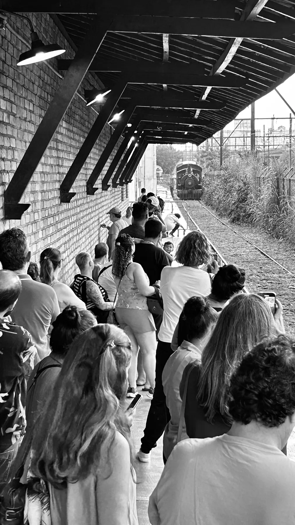 Trem dos Imigrantes chegando à estação