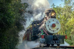 Passeio de trem: Trem Caiçara – Antonina / Morretes