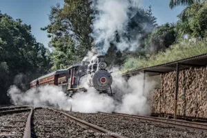 Passeio de trem: Trem das Termas – Piratuba