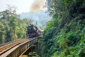 Passeio de trem: Trem da Serra do Mar – Rio Negrinho